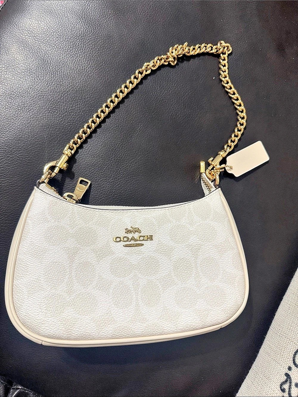 Coach Teri Shoulder Bag In Signature Canvas White